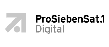 Partner 6